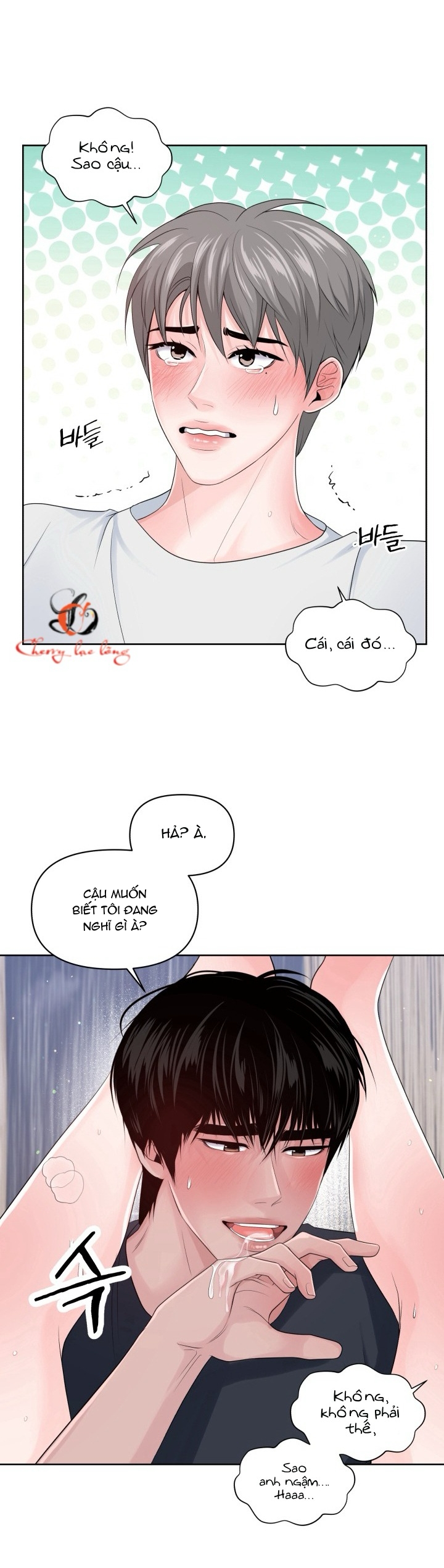 bí mật trên hòn đảo ireland chapter 17 4