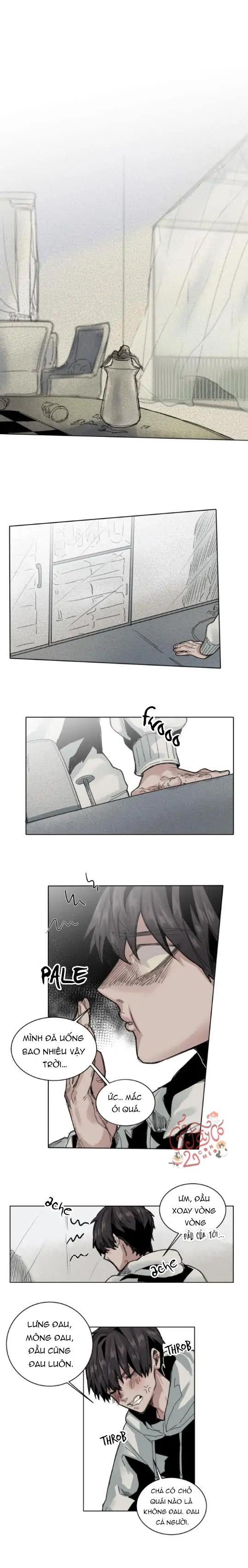 ánh nhìn của quạ chapter 46 1