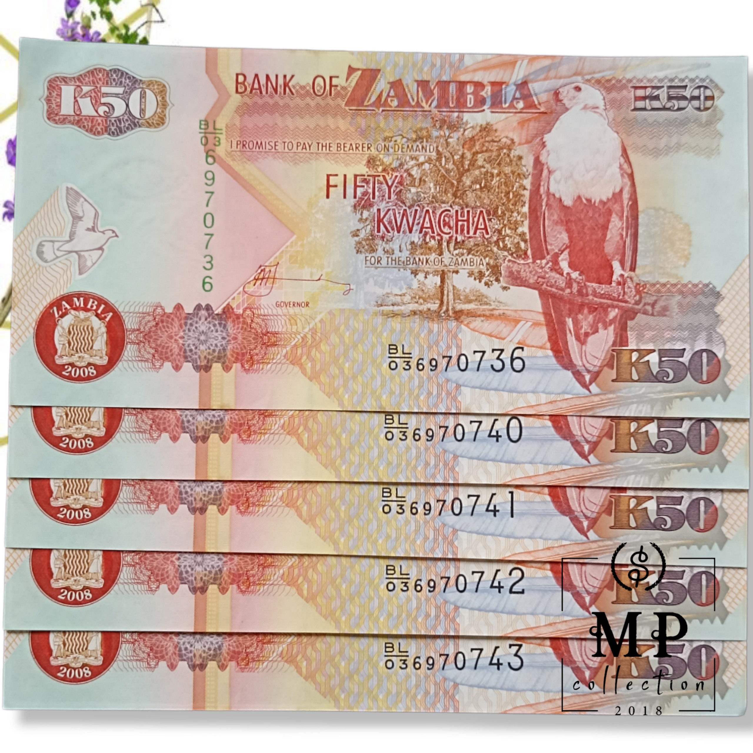 Tờ con ngựa của Zambia 50 Kwacha tuổi Ngọ sưu tầm , tiền châu Phi , Mới 100% UNC