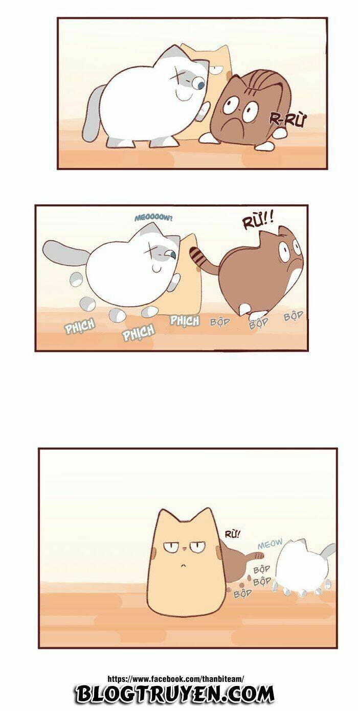 saphie: chú mèo một mắt chapter 2 4