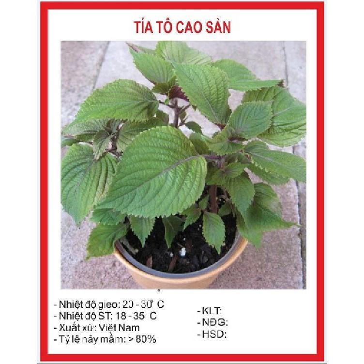 Hạt Giống Cây Rau Tía Tô - 2gr/gói