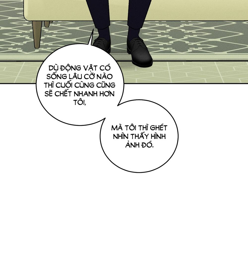 mối tình đầu của ma cà rồng chapter 29.1 36