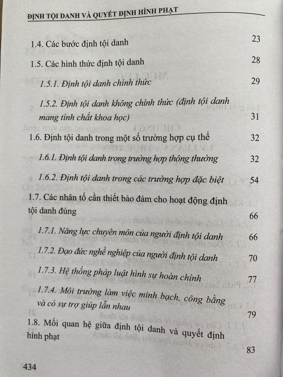 Định Tội Danh và Quyết Định Hình Phạt
