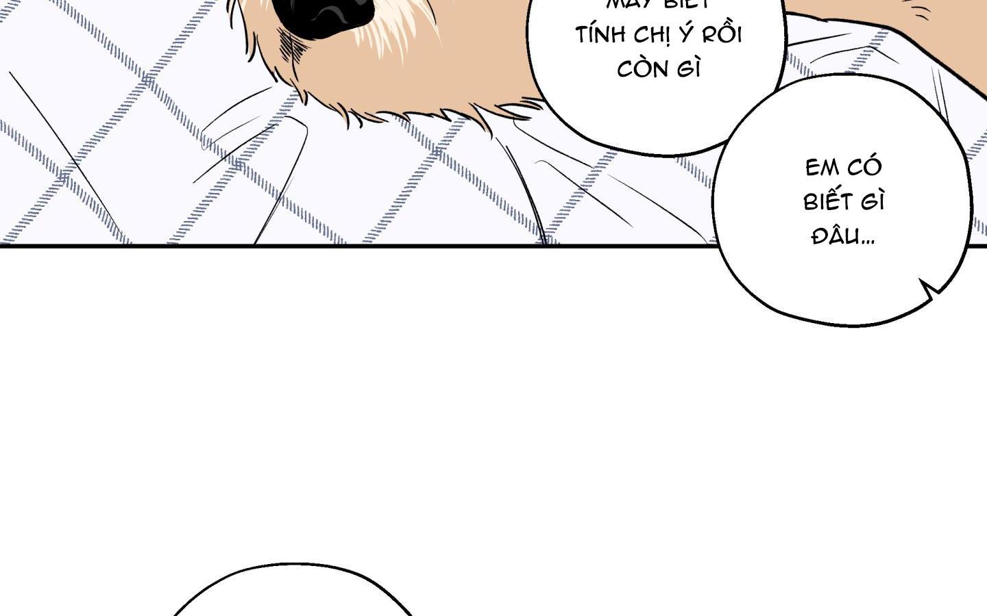 gâu gâu! chapter 49 36