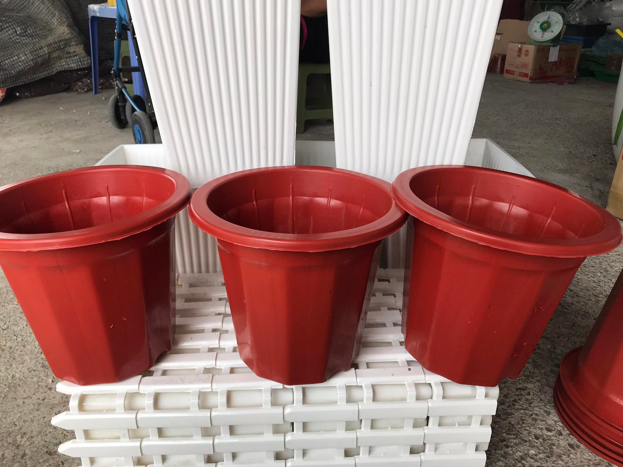 10 Chậu Nhựa Trồng Cây E230 - Chậu Nhựa Bền Đẹp Trồng Hoa Cây Cảnh