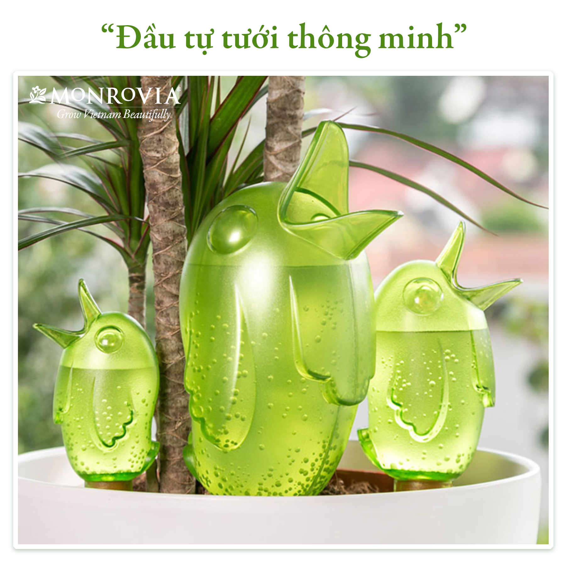 Đầu tưới nhỏ giọt tự động Monrovia, hình chú chim, dung tích 85ml, thời lượng tưới đến 24h, dưỡng ẩm đến 4 ngày