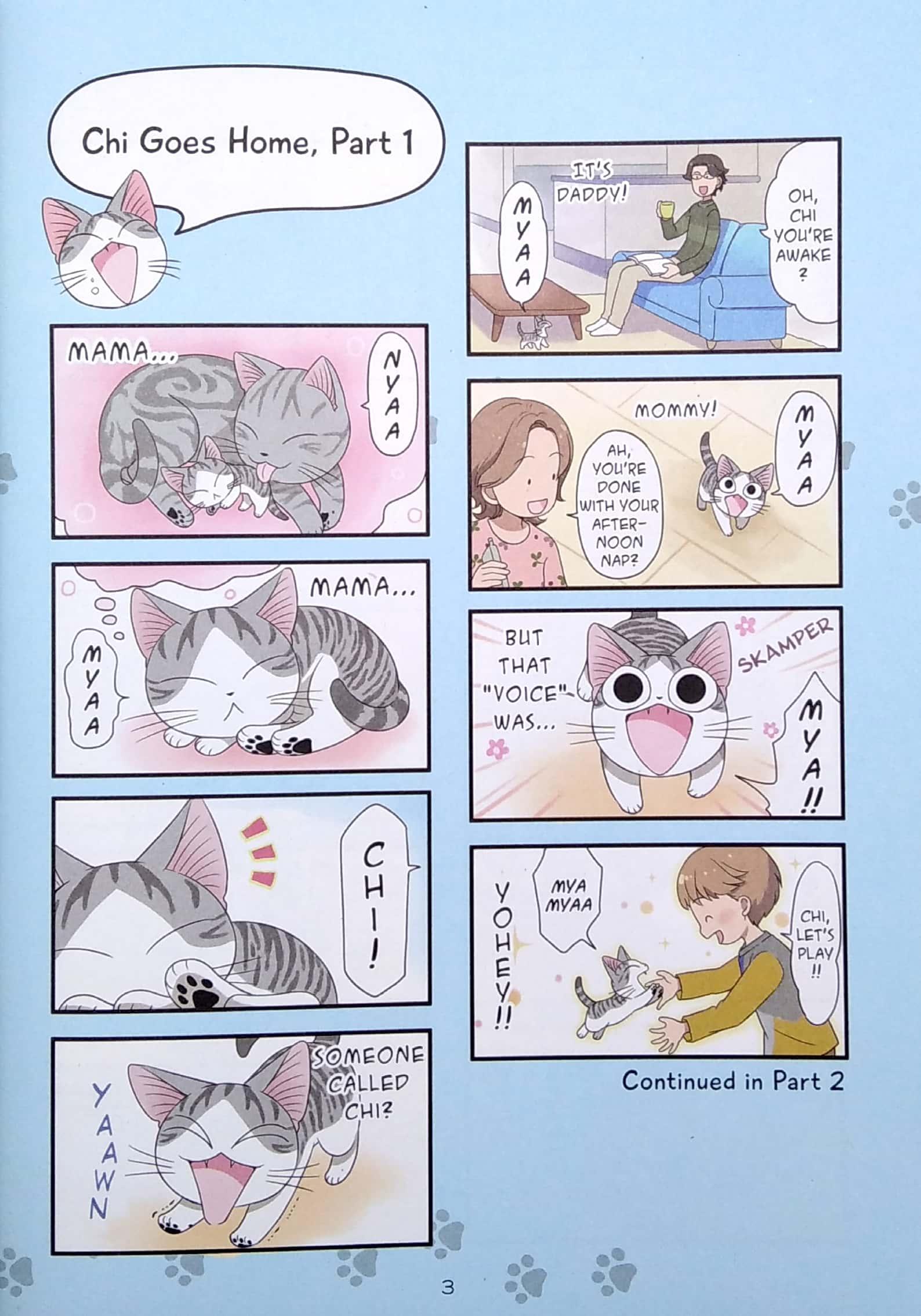 Chi's Sweet Adventures 1
