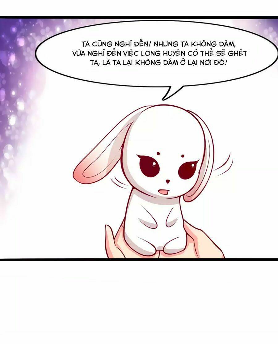thỏ yêu tiểu vương phi chapter 77 32
