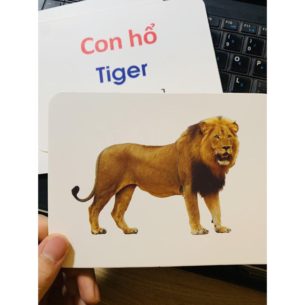 Bộ Thẻ  Học Flashcard Thông Minh Cho Bé 19 Chủ Đề Loại Lớn - Hàng Việt Nam Cao Cấp Chính hãng Amalife