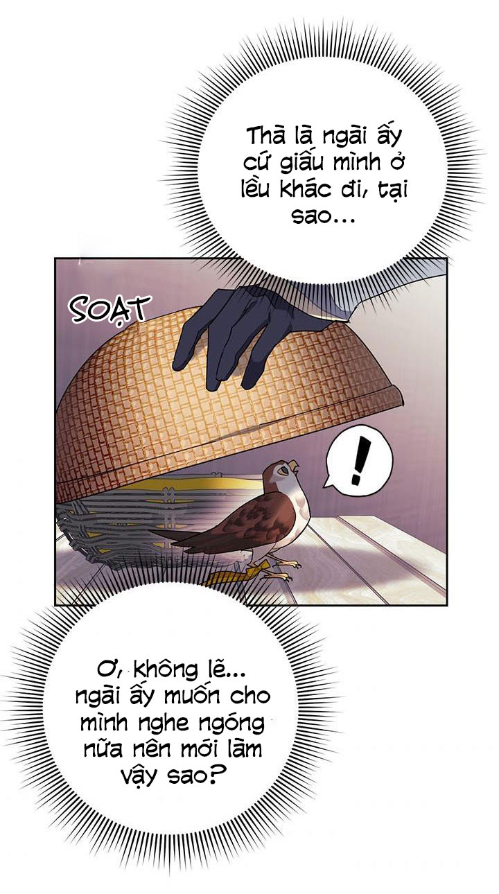 công chúa của loài chim chapter 25 28