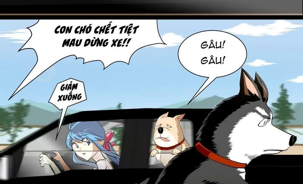 một con chó chapter 62 7