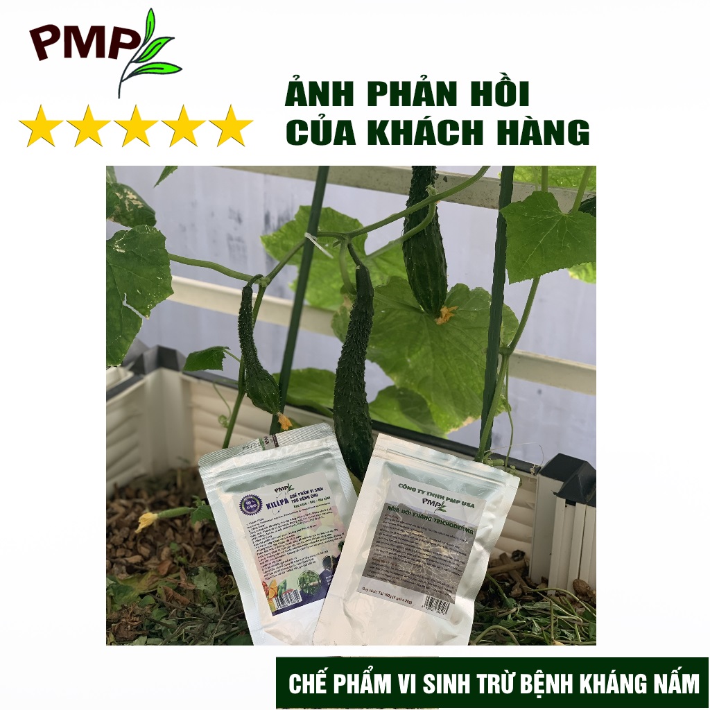 Combo chế phẩm vi sinh trừ bệnh, trừ sâu PMP cho rau sạch, hoa, cây cảnh