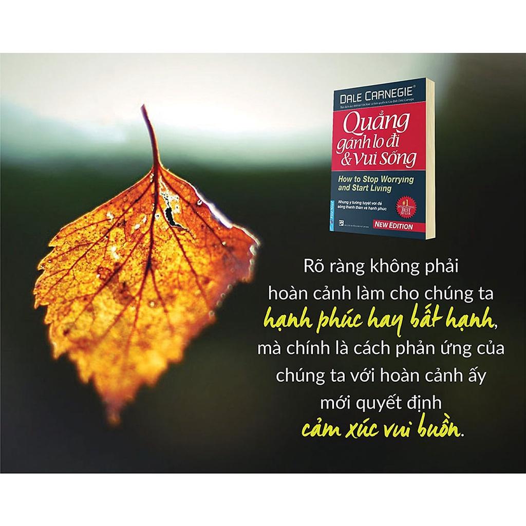 Sách - Combo Đắc nhân tâm + Quẳng gánh lo đi và vui sống - FirstNews