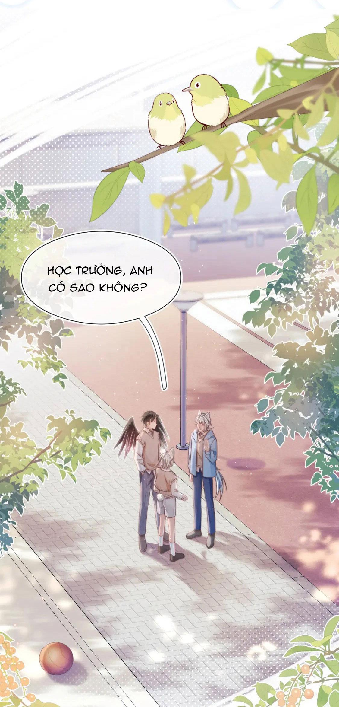 [ss2] một ngụm ăn cả thỏ con chapter 38 11