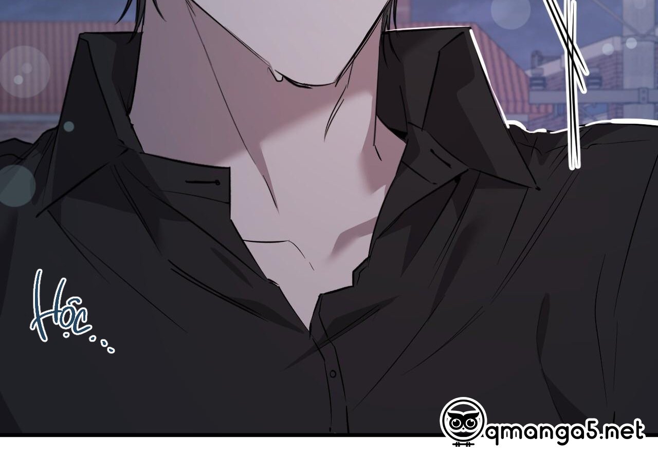 những chú thỏ của hapypy chapter 60 31