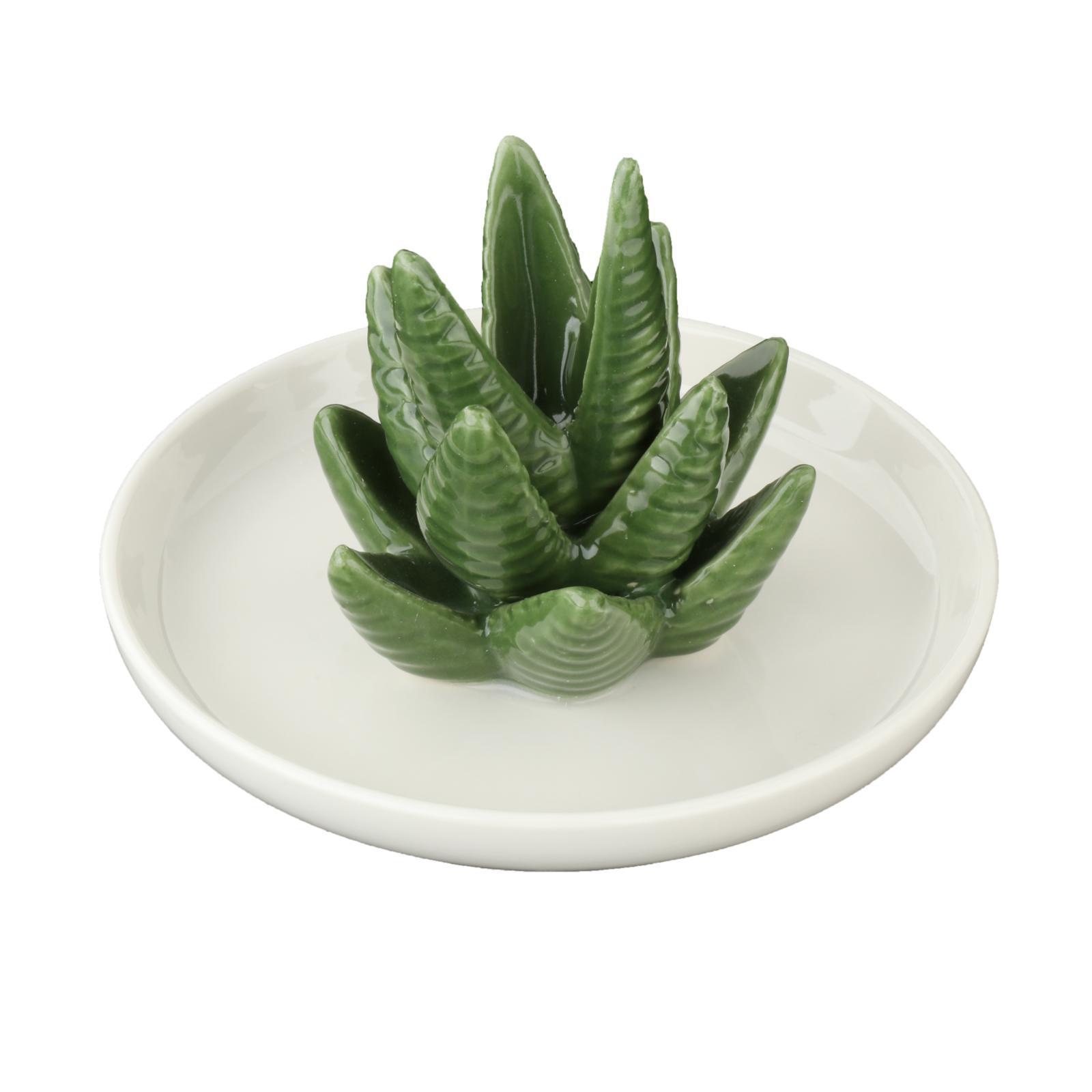 Ceramic Aloe Jewelry Holder Tray Earrings Organizer Decor Gift