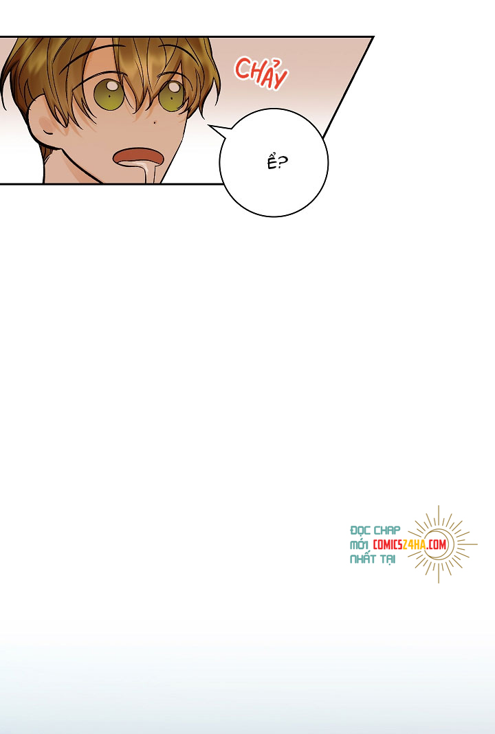 kế hoạch cưới chồng chapter 11 20