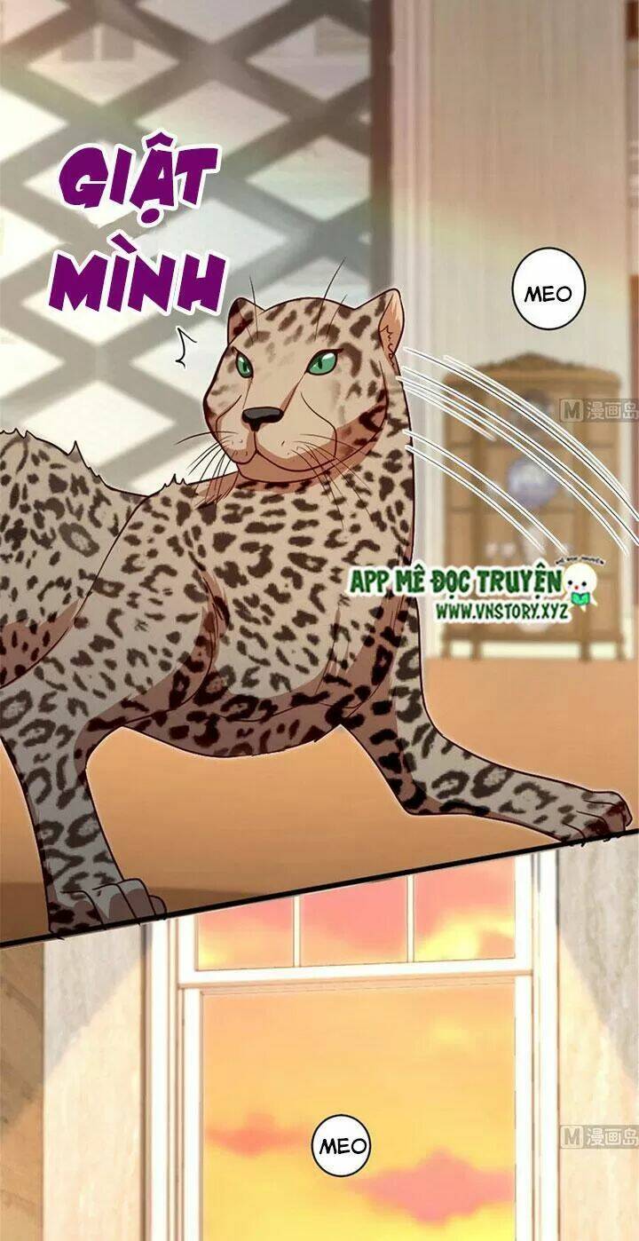 thiên hậu trở về chapter 186 21