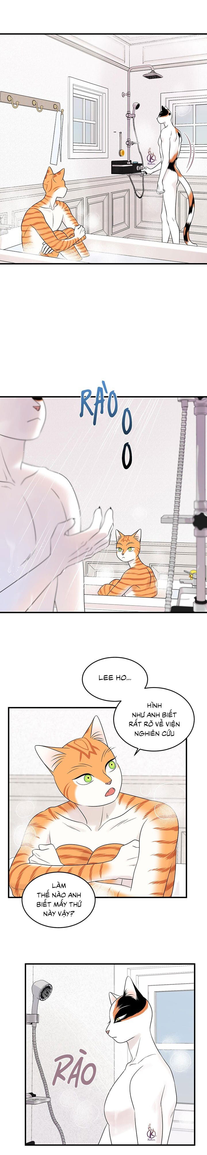 dự án xanh chapter 37 6