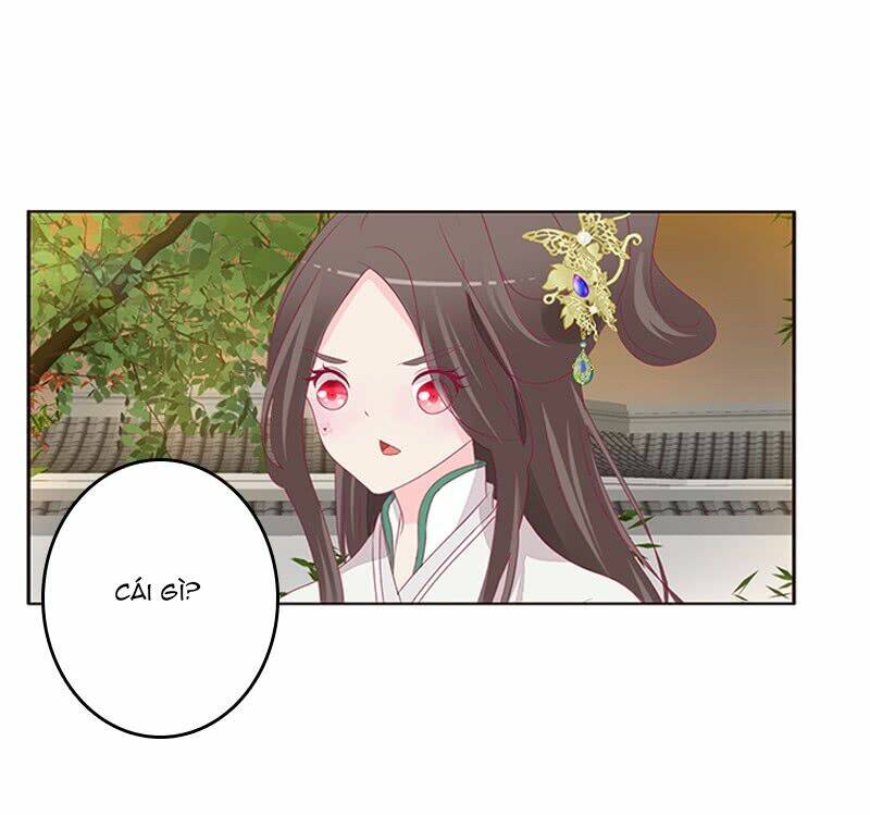 tướng quân mời ra trận chapter 115 3