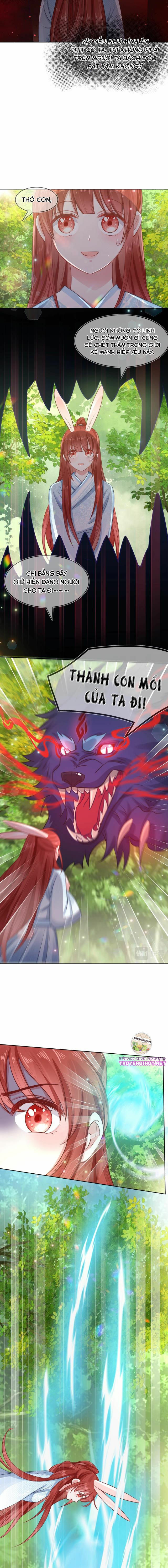 nuôi thỏ? nam chính hắc hóa rồi! chapter 17 4