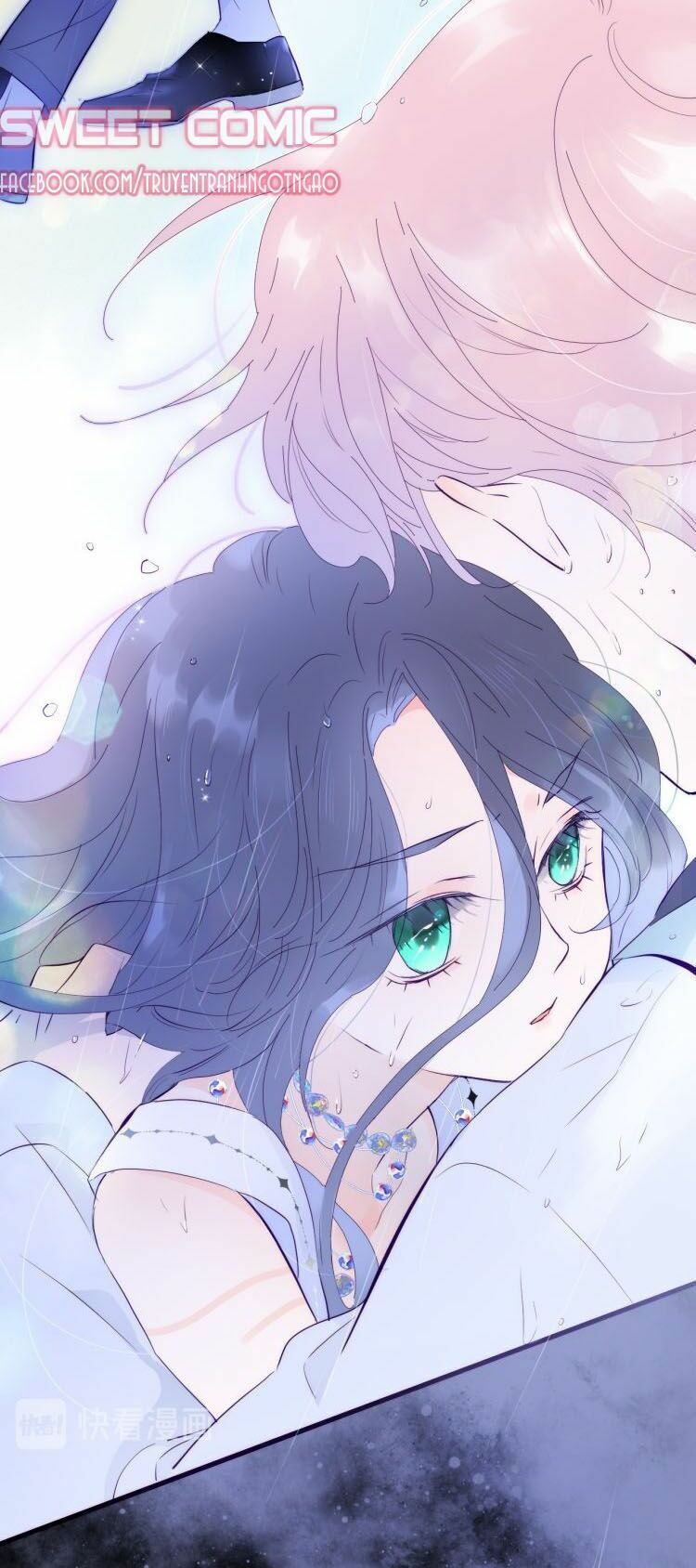 hoa bỏ chạy với nhím rồi chapter 1 6