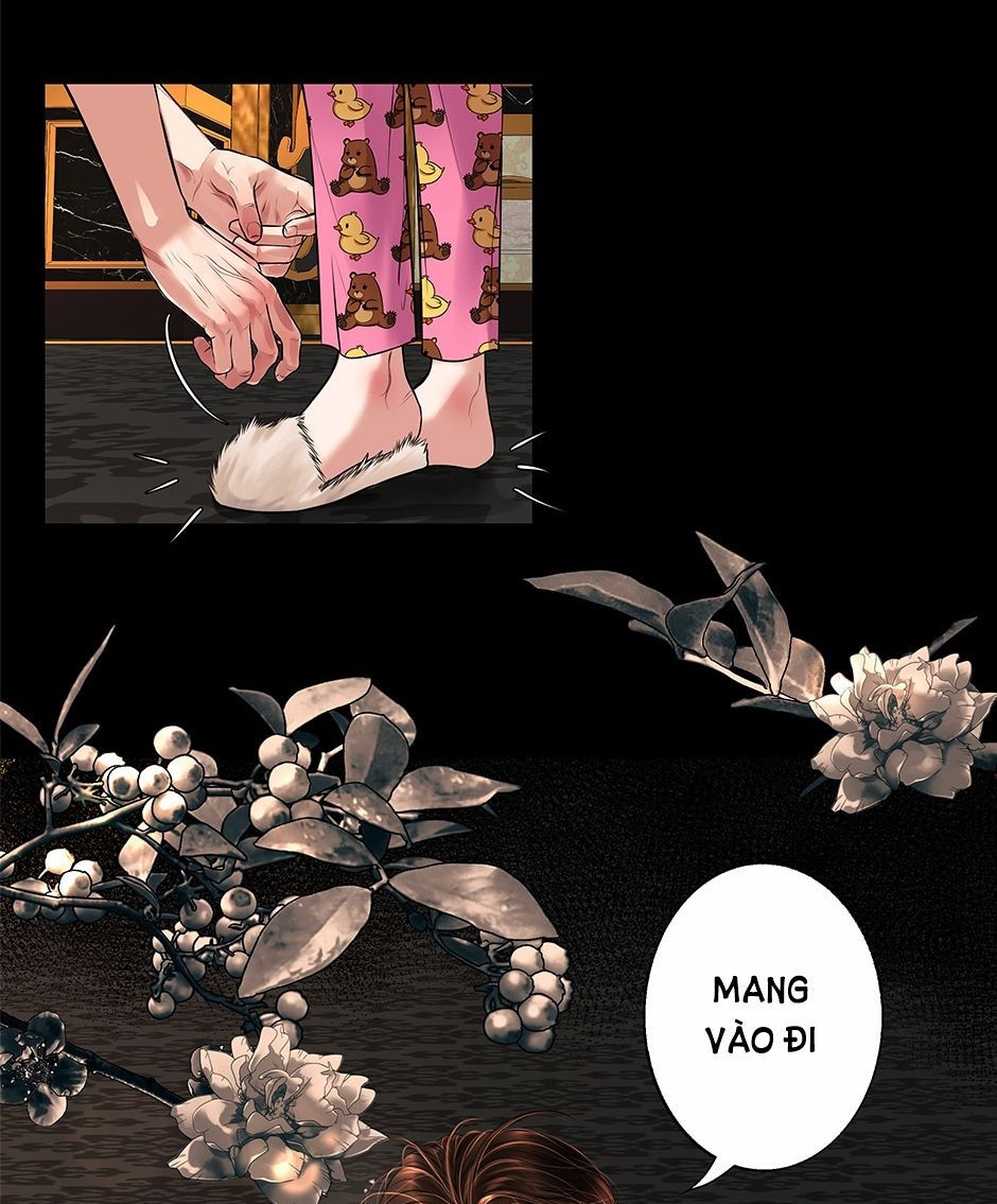 tôi đã ký khế ước với ác quỷ chapter 6.2 41