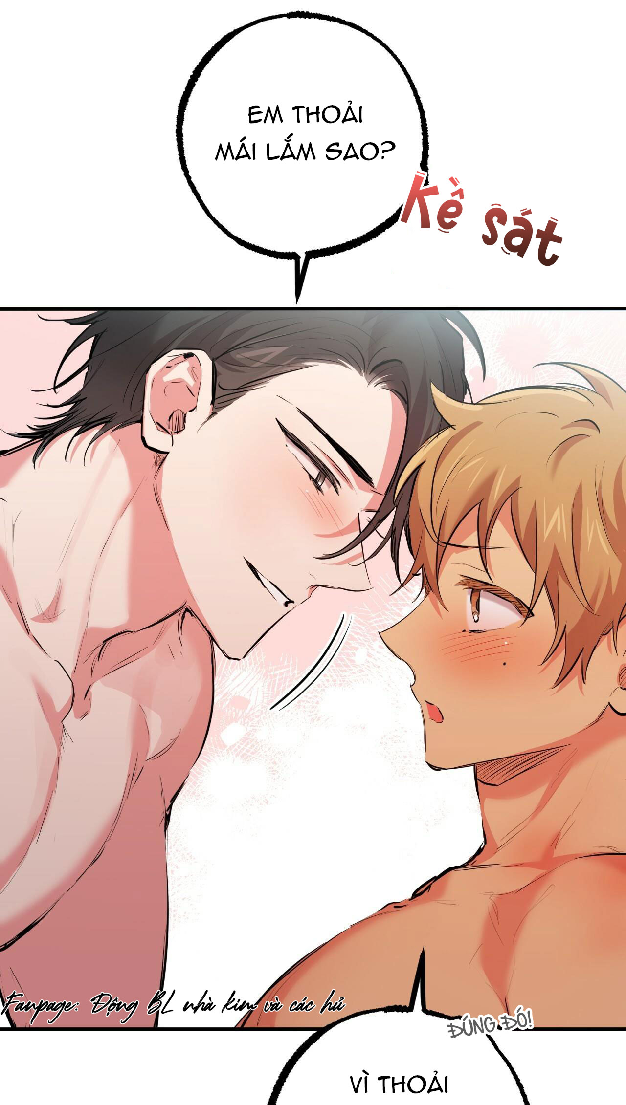 những chú thỏ của hapypy chapter 29 6