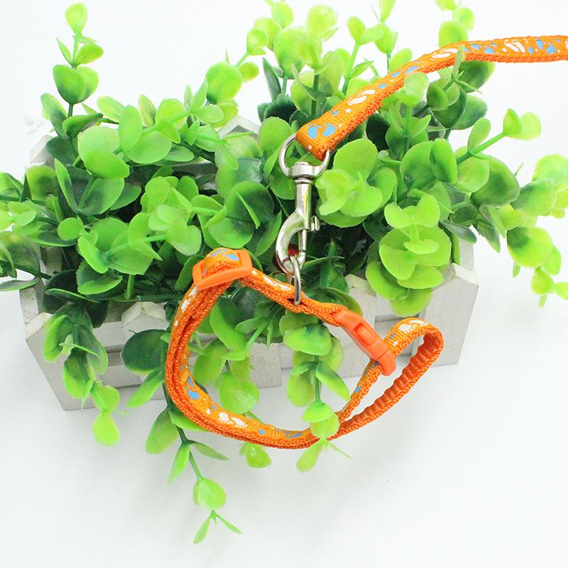 Dây dắt thú cưng kèm vòng cổ cho thú cưng
