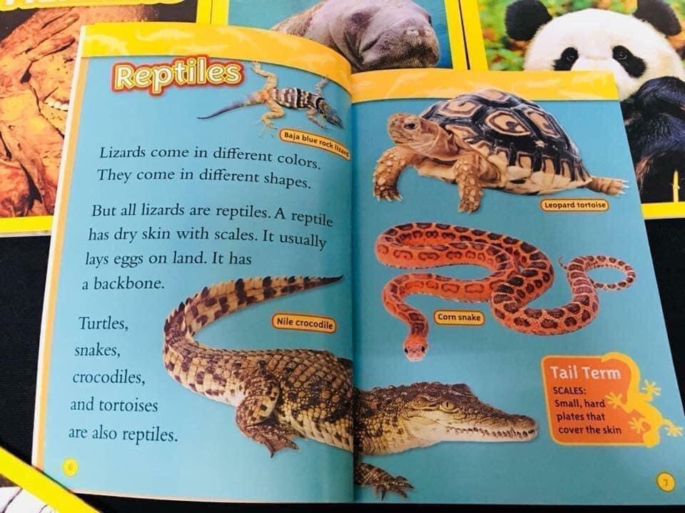 National Geographic Kids - level 2- nhập khẩu -36Q