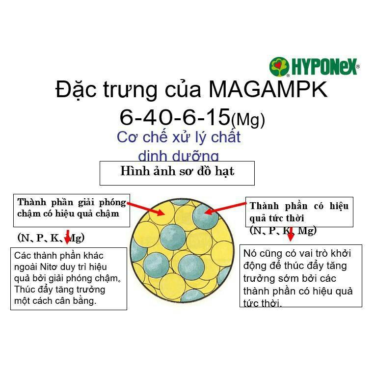 Phân tan chậm nhật Magamp 600g