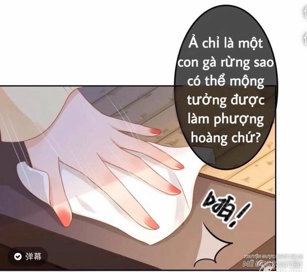 sủng phi của vương chapter 44.3 24