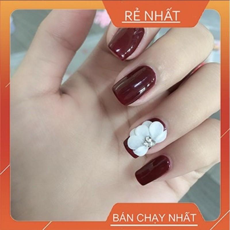 hoa bột nail