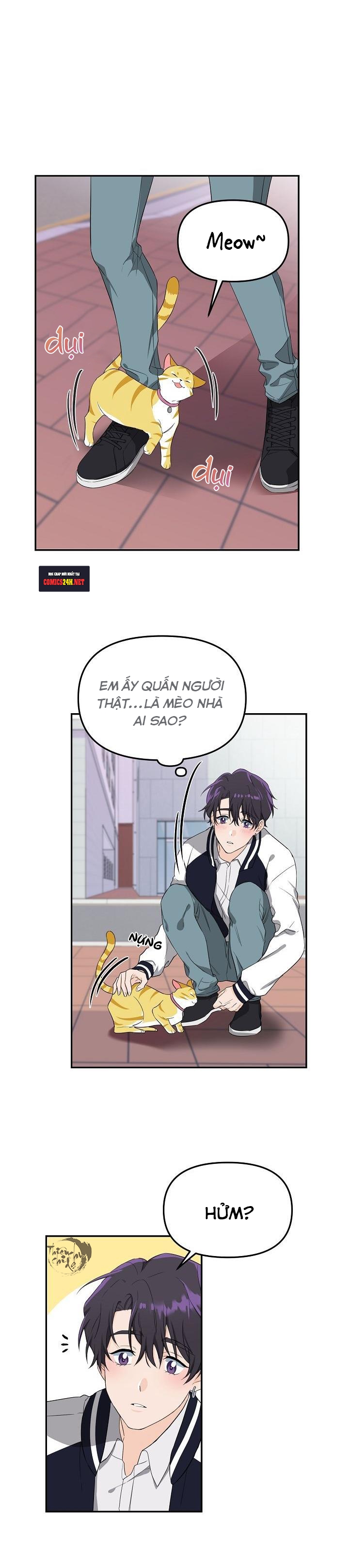 hoa ly hổ chapter 1 8