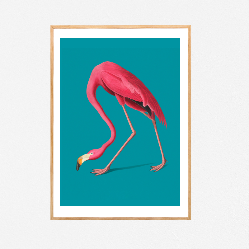 Tranh trang trí khung kính gỗ sồi treo tường cao cấp"Pink Flamingo"