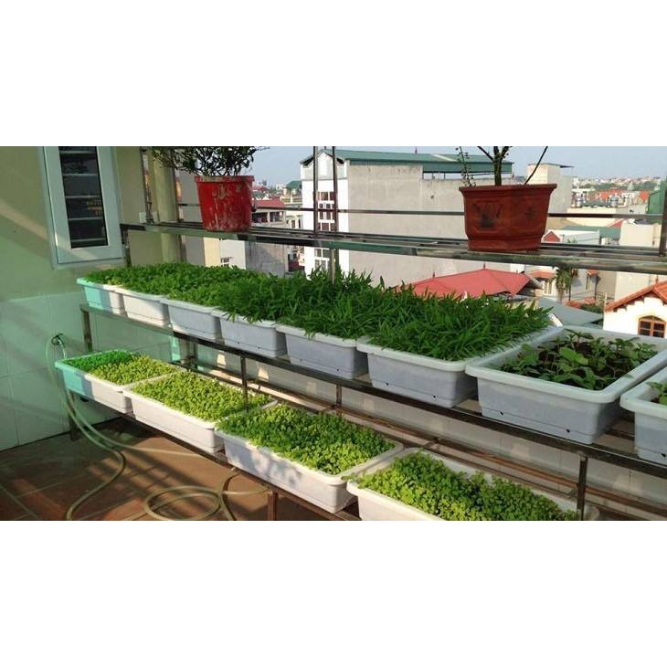 Combo 10 Khay Nhựa Trồng Rau Sạch Thông Minh Hình Chữ Nhật KT: 65x42x16cm - Chất Liệu Nhựa Dày, Bền, Đẹp VTNN Nông Điền Trang