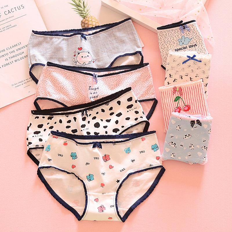 Quần Lót Nữ Cotton Bi Nhỏ Thời Trang Nhật Bản Ngang Eo . Hàng Loại Đẹp.