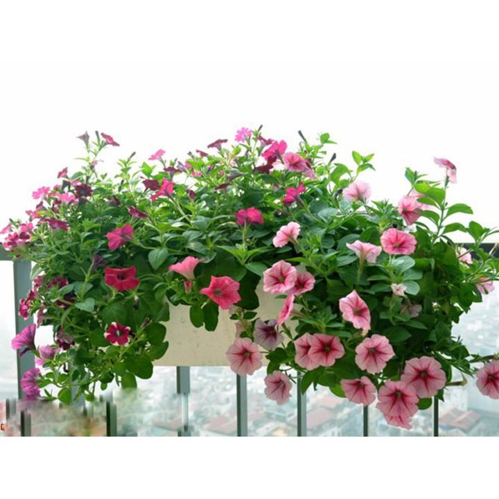 Combo 1 bộ móc sắt treo ban công + chậu chữ nhật dài 48cm x rộng 19,5cm