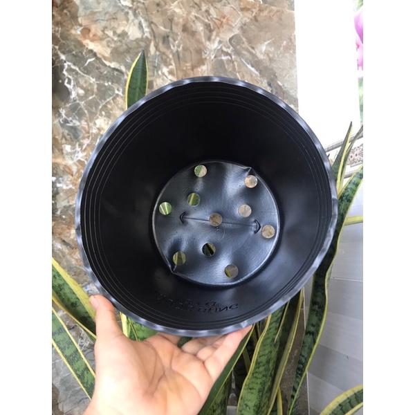 Combo 10 chậu trồng cây,trồng hoa,trồng rau C16 giá tại xưởng