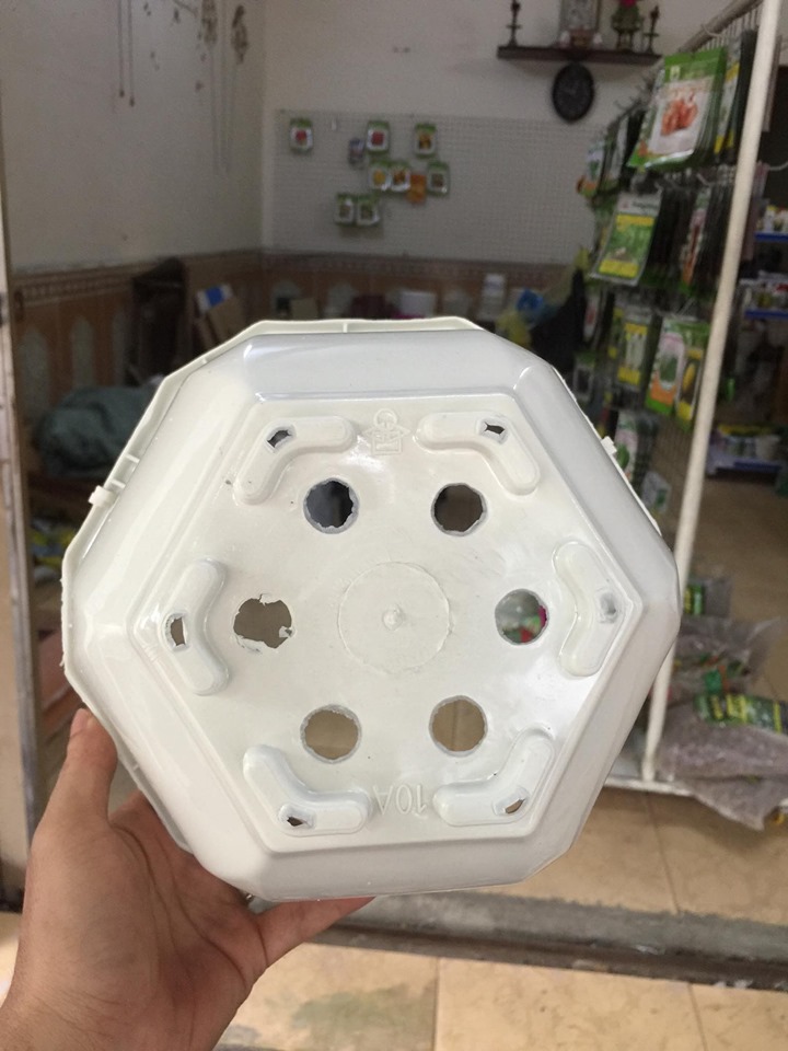 5 chậu nhựa treo lục giác màu trắng 21x15cm