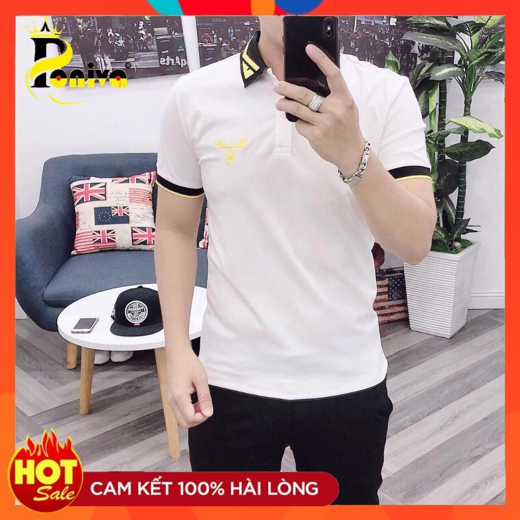 Áo Thun Nam Cổ Polo Phối Họa Tiết Lạ Mắt