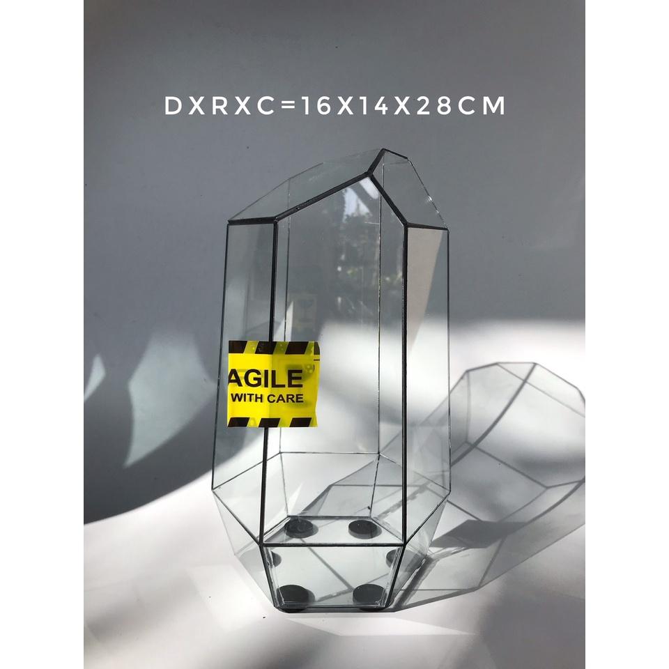 Bể Terrarium Đa Giác Setup Bán Cạn Để Bàn Làm Việc-Vườn Nhiệt Đới