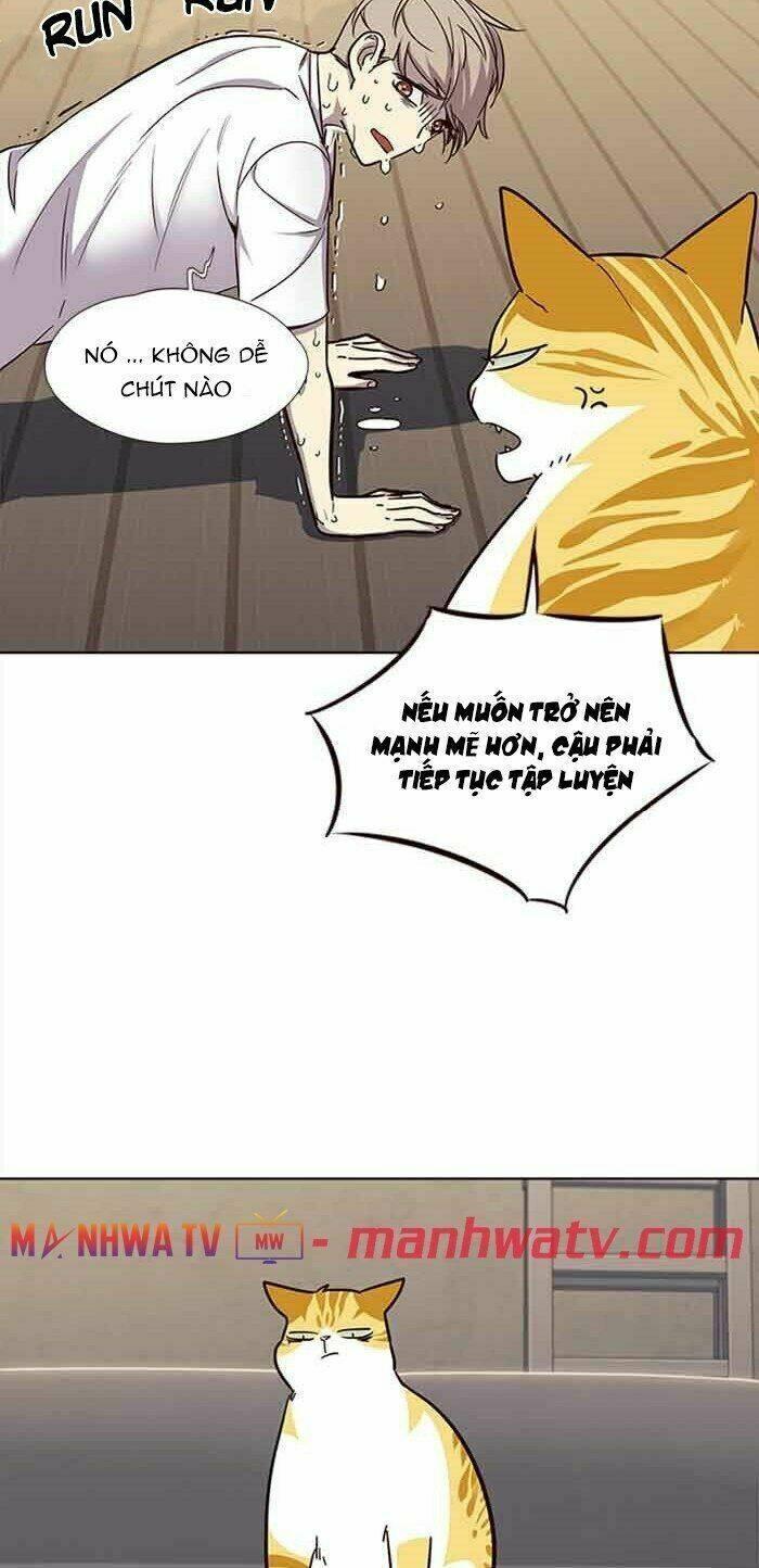 biến thân thành mèo chapter 23 20