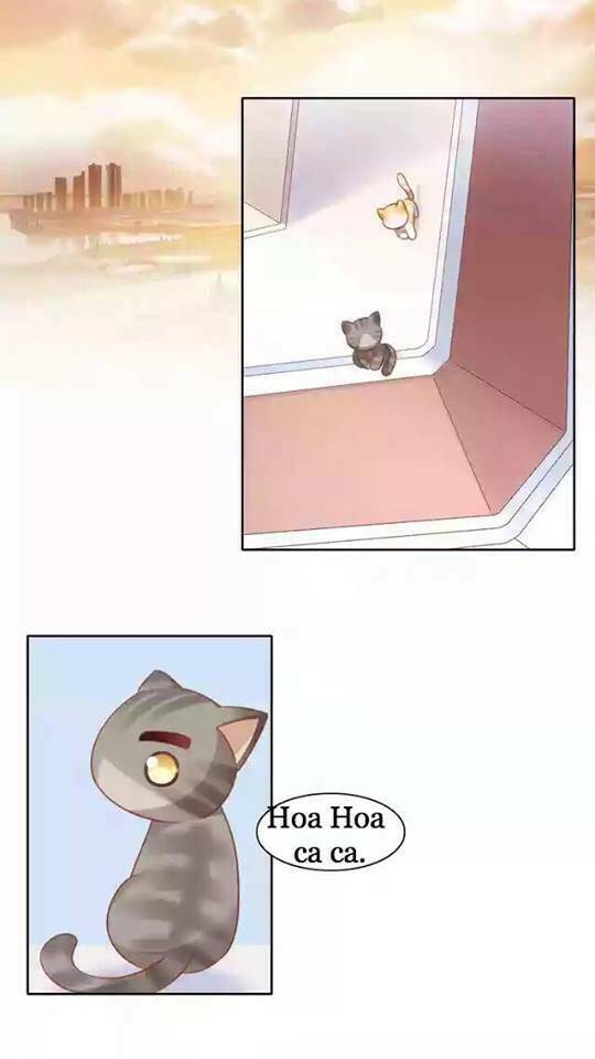 thị hoang chi thần chapter 11 27