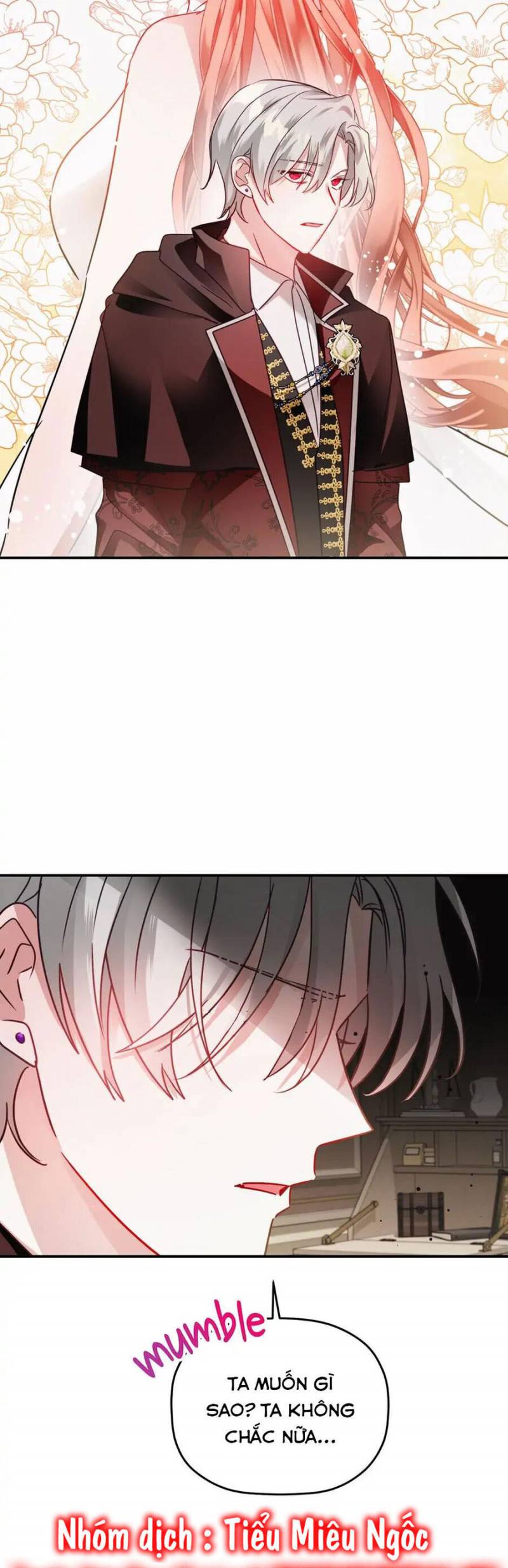 hoàng tử chuyển sinh trở thành người mạnh nhất thế giới nhờ vào sự hiểu biết về bug chapter 61 25