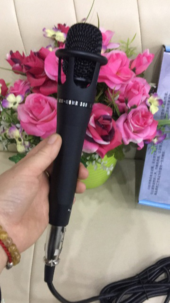 Mic hát có dây E300 - Hàng Nhập Khẩu