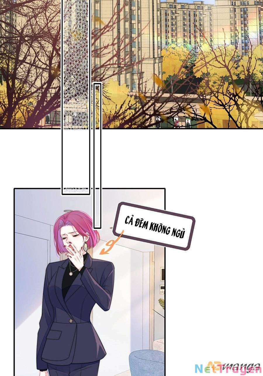 kim ốc tàng kiều chapter 43 3