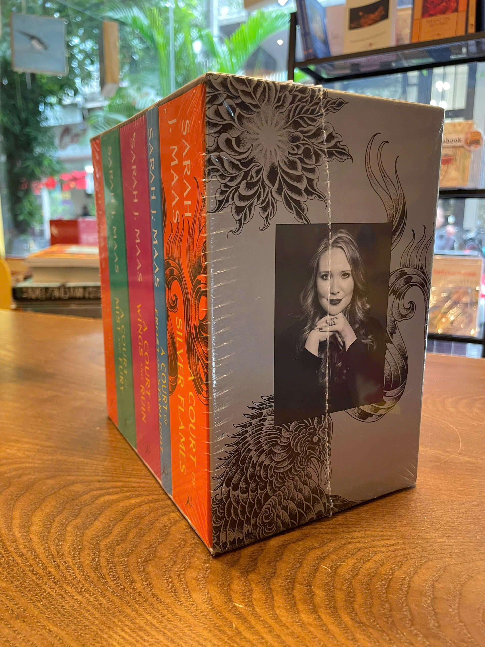 Sách - A Court of Thorns and Roses Complete 5 Books  - Tiểu thuyết tiếng Anh / Fiction in English