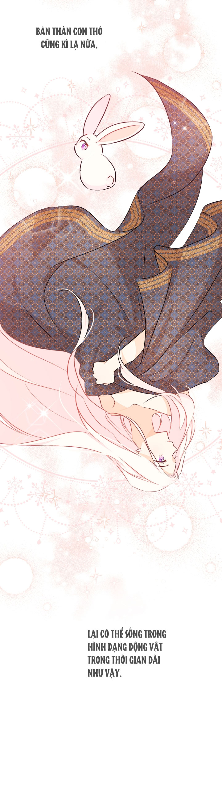 mối liên kết giữa báo đen và bé thỏ chapter 21 37