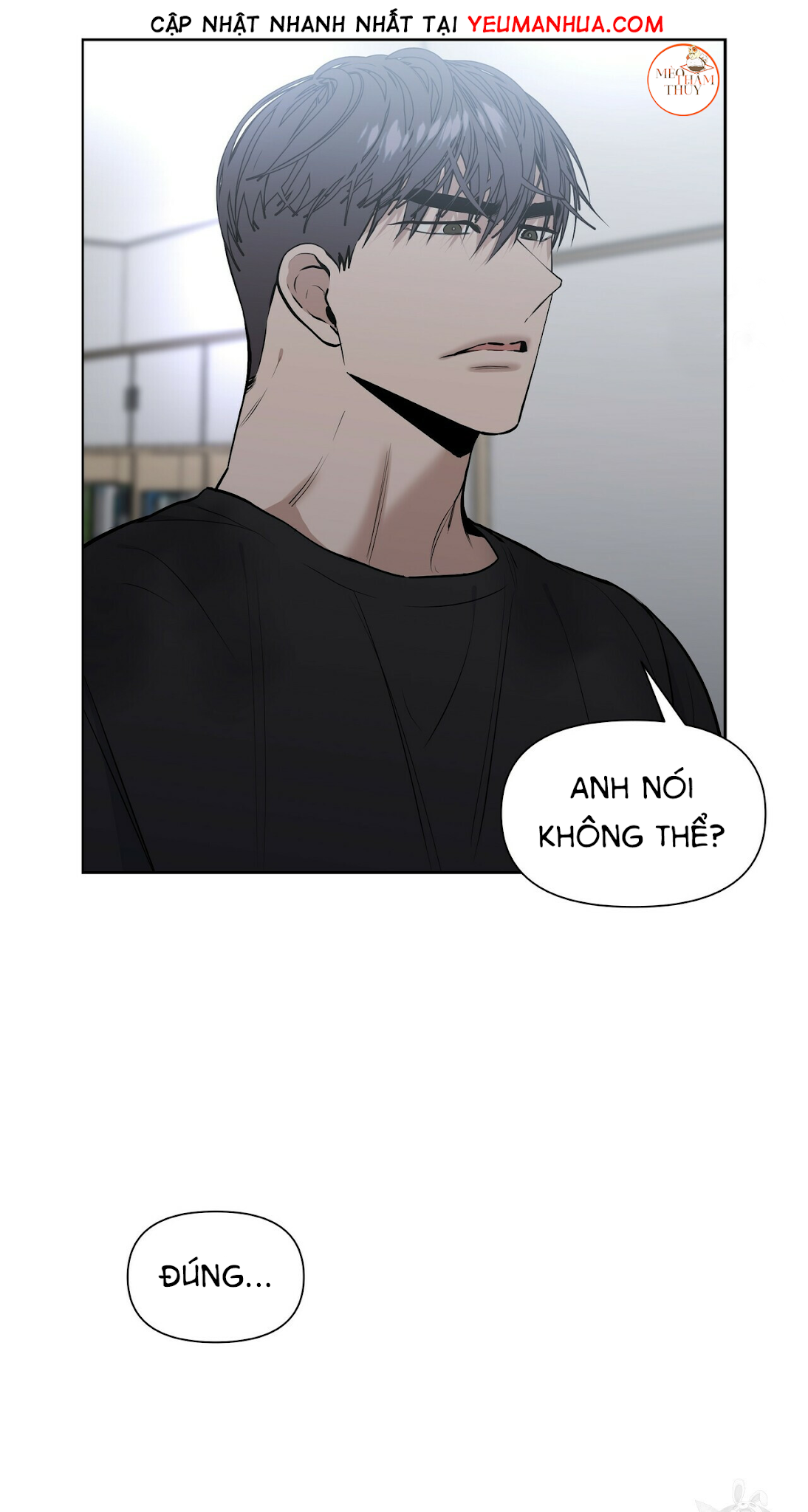 hội chứng chapter 11 57